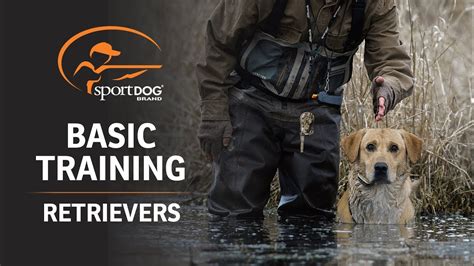 When I became interested in training, the primary purpose was for waterfowl hunting. . Retriever training forum
